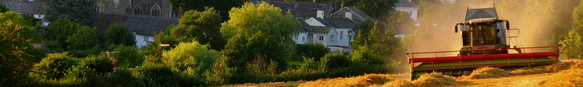 tourist information lyme regis