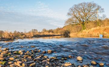 Newton Poppleford & River Otter Circular