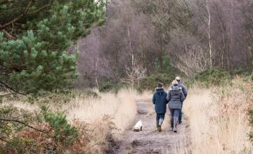 Woodbury Common Circular