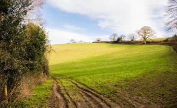 Sidbury, Harcombe & Sweetcombe Circular