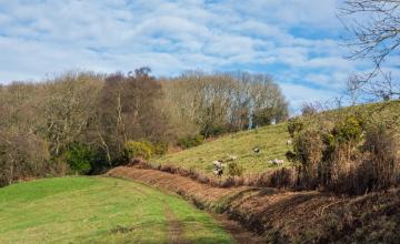 Knapp Copse Circular